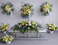 Sympathy Collection 1