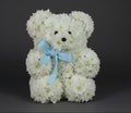 Flower Bear