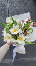 Spring Tulips