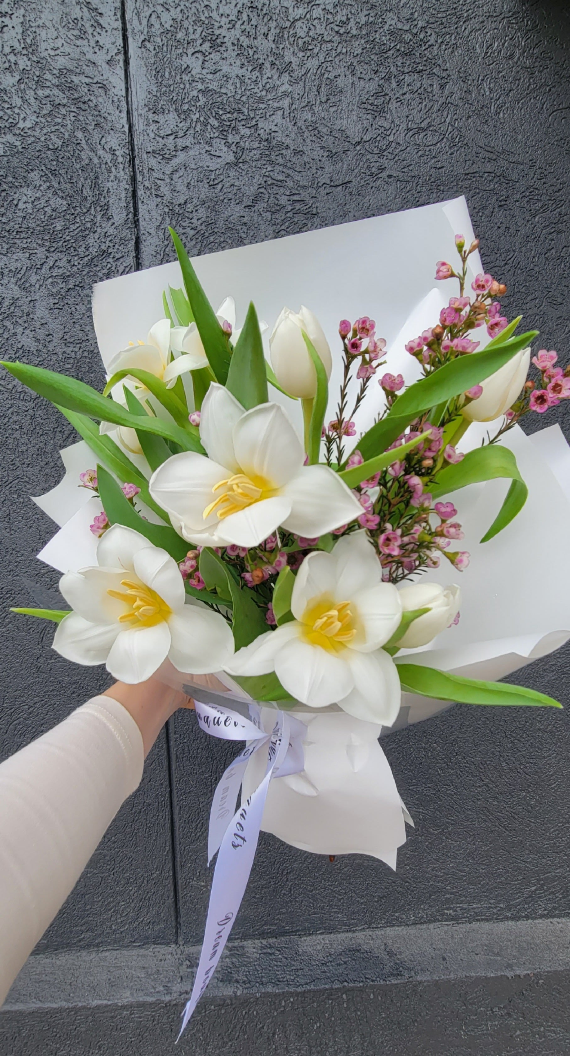 Spring Tulips