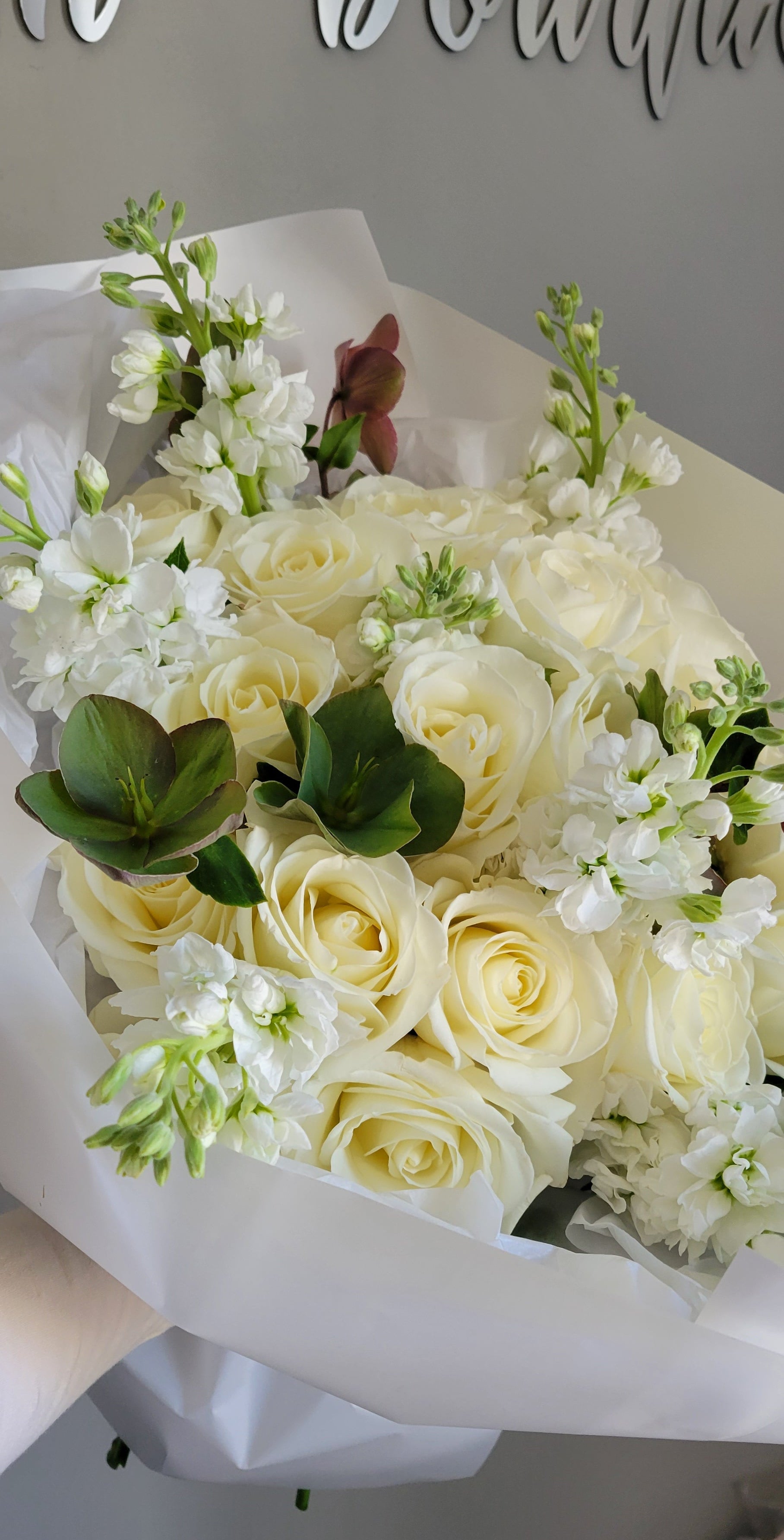 Soft Cloud - Premium Garden Roses, stock, seasonal blooms